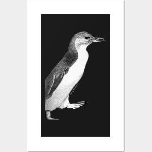 Fairy penguin - black Posters and Art